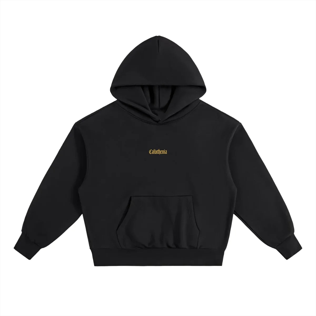 SOCIETY HOODIE — Calixthenia streetwear