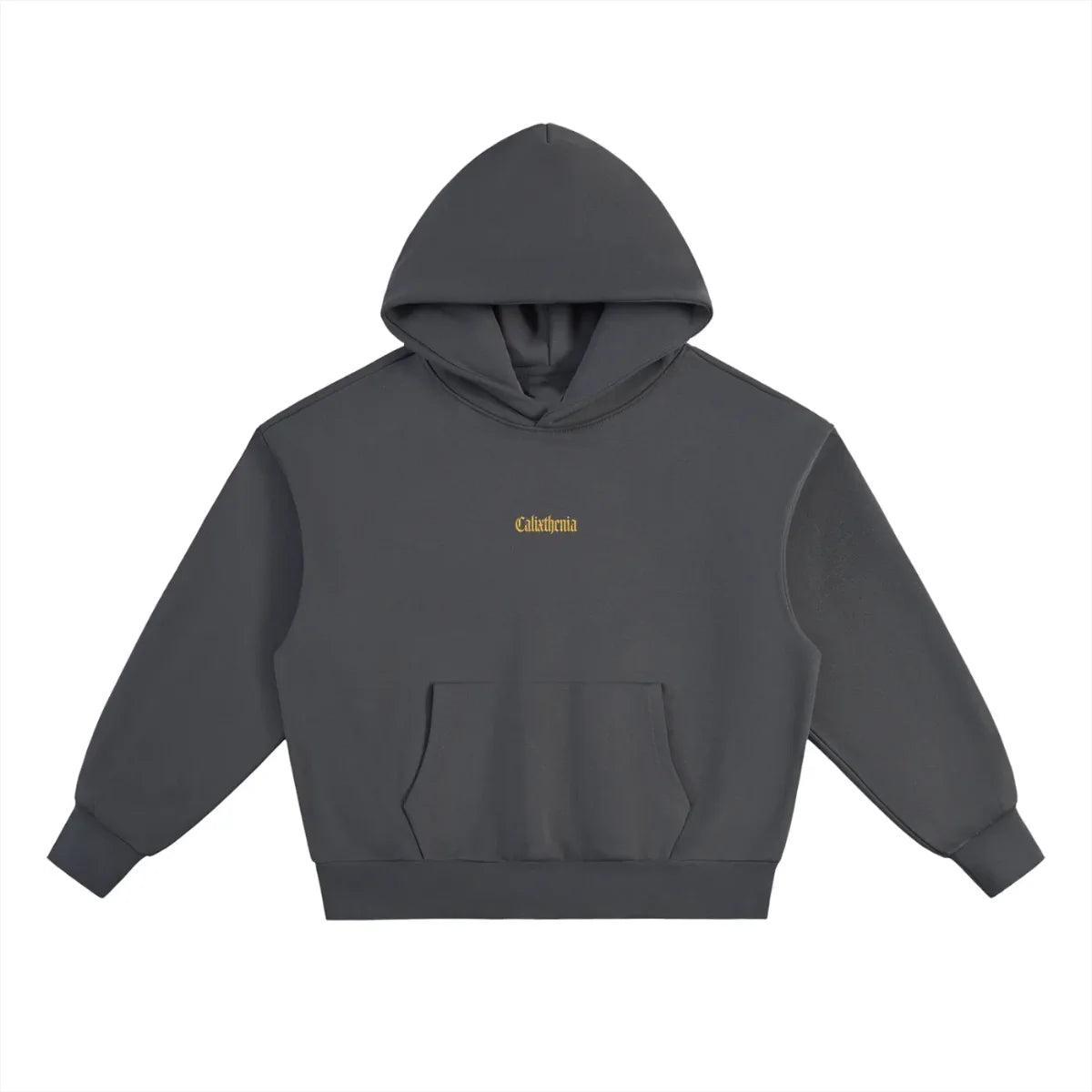 SOCIETY HOODIE — Calixthenia streetwear