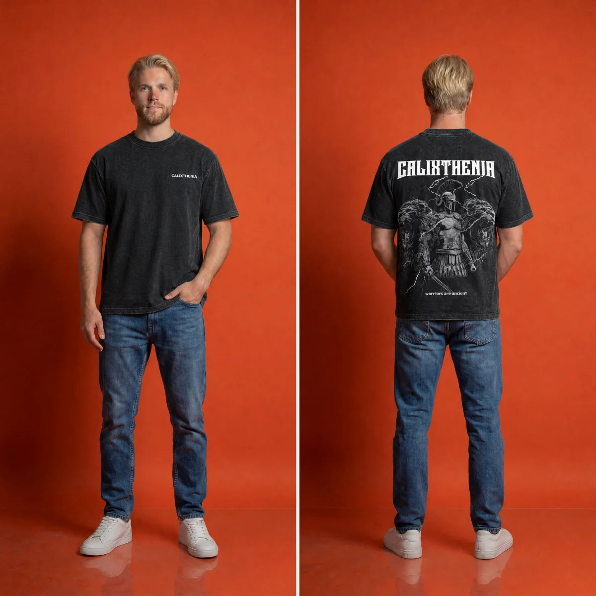 THE ORIGIN TEE — Calixthenia streetwear