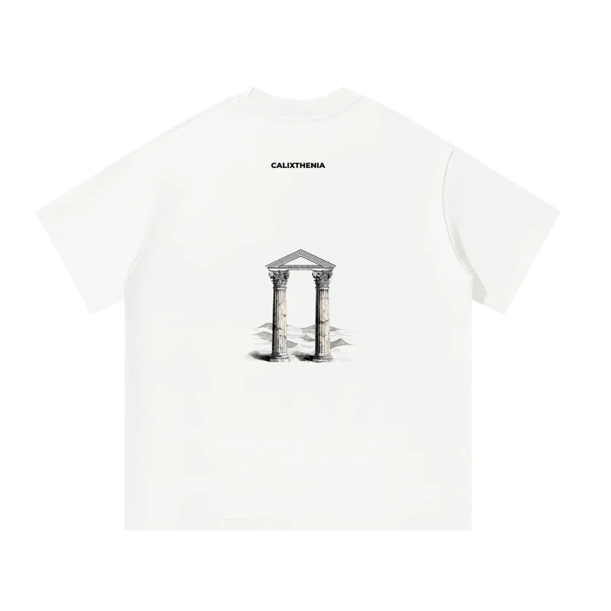 THE COLUMNS TEE — Calixthenia streetwear