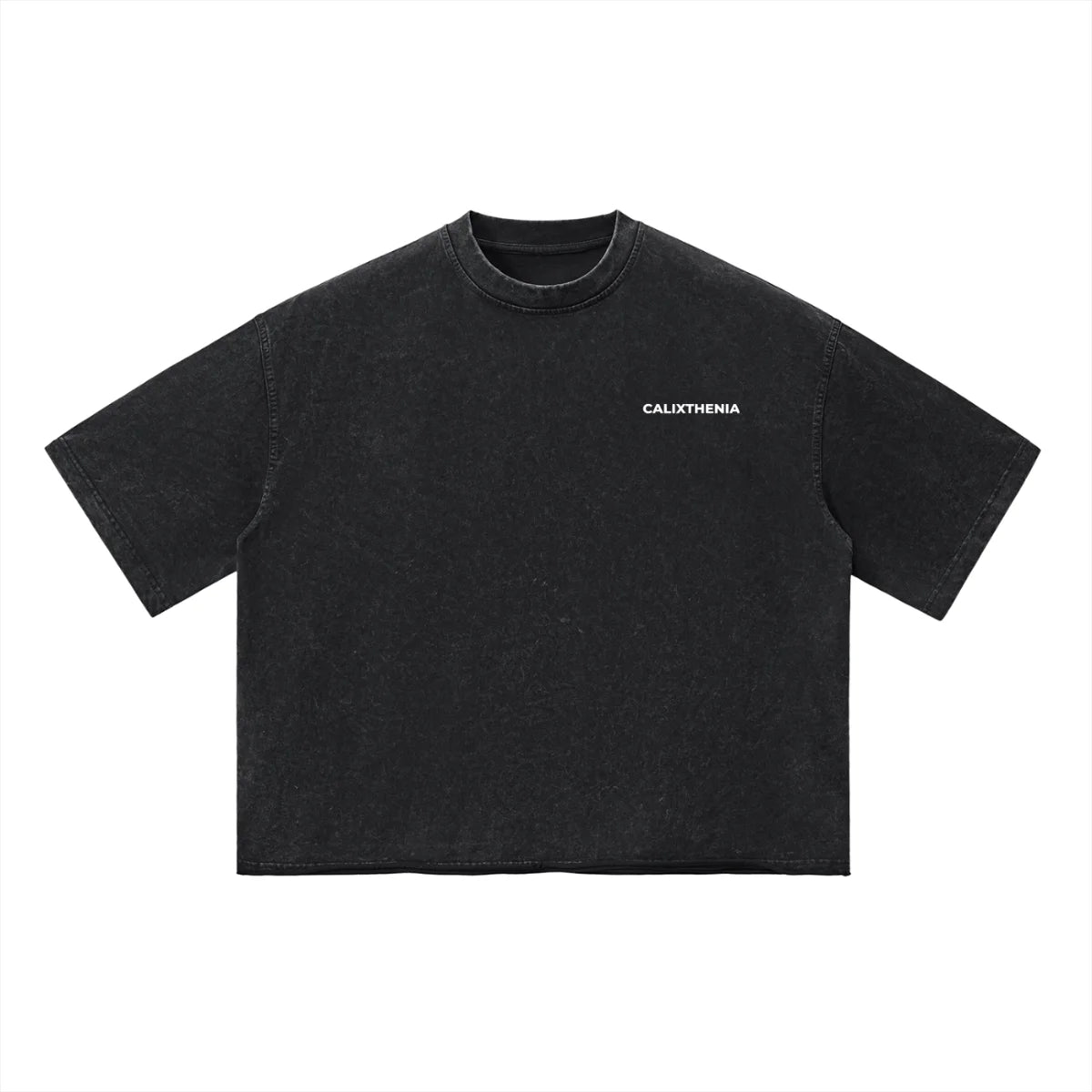 THE ORIGIN TEE — Calixthenia streetwear