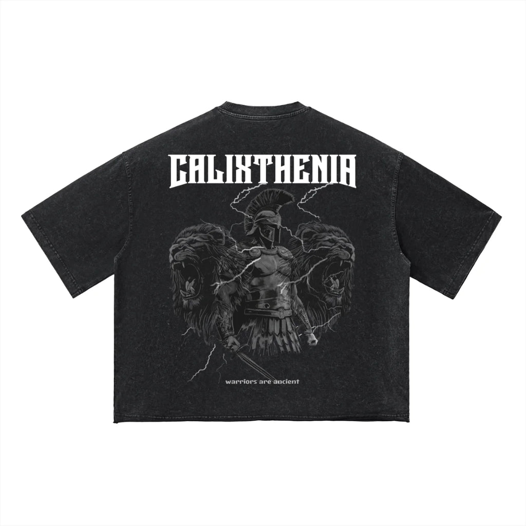 THE ORIGIN TEE — Calixthenia streetwear