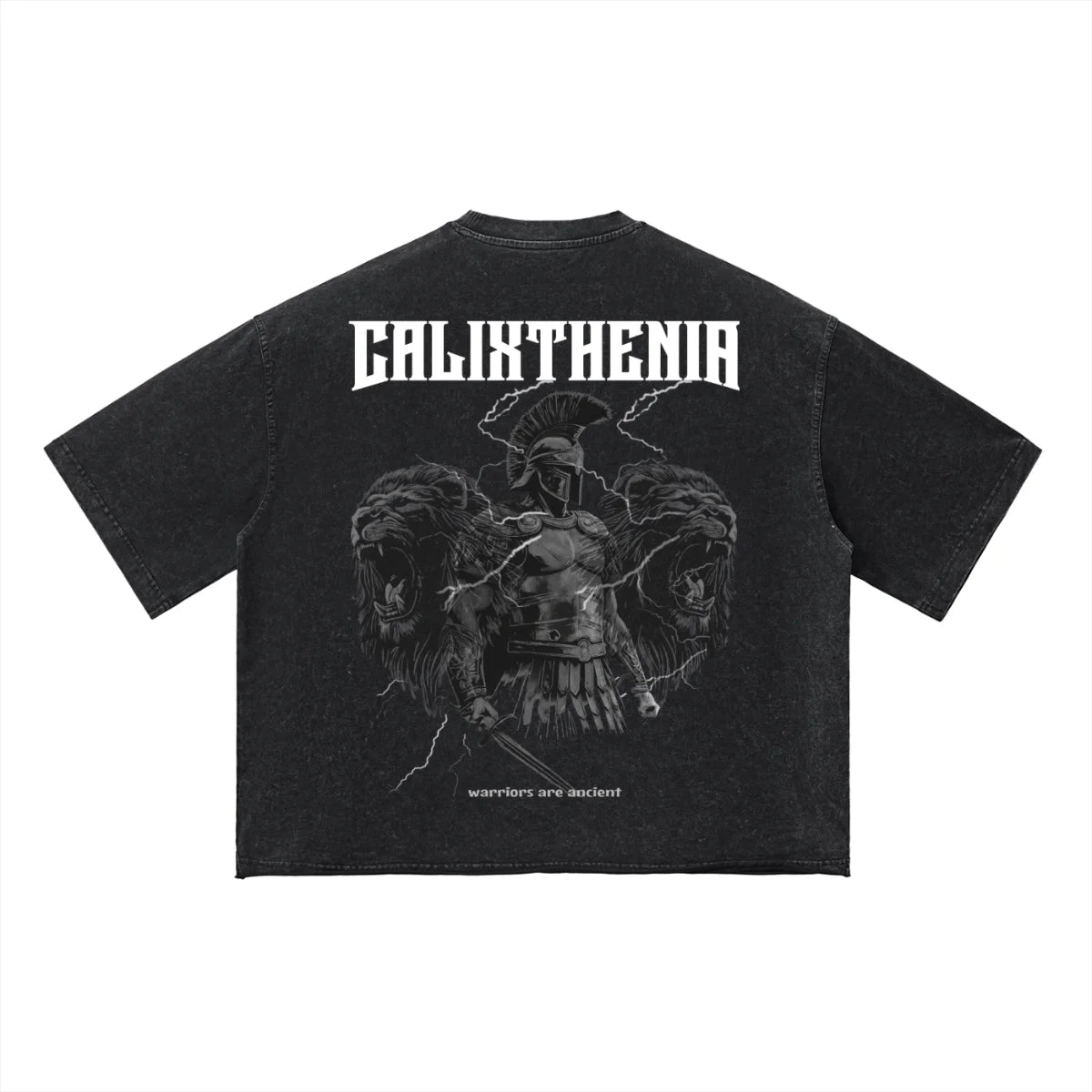 THE ORIGIN TEE — Calixthenia streetwear