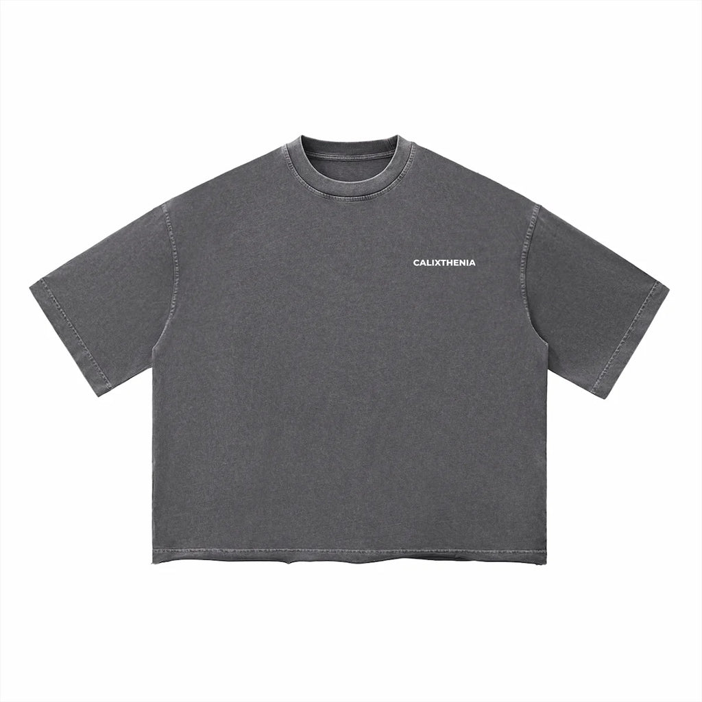 THE ORIGIN TEE — Calixthenia streetwear