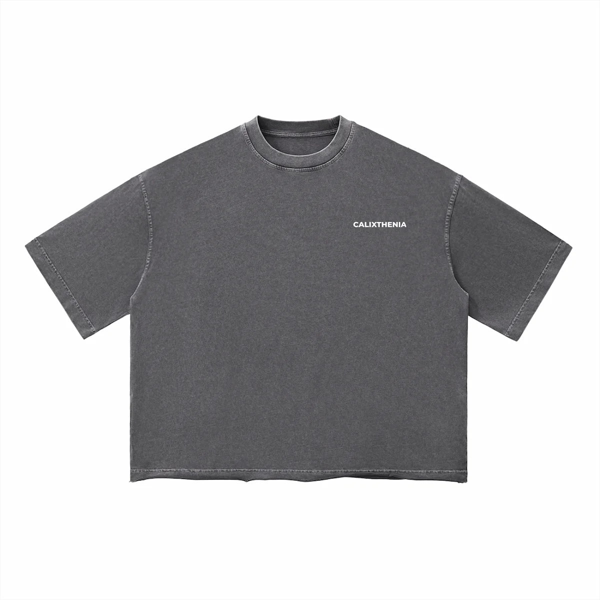 THE ORIGIN TEE — Calixthenia streetwear