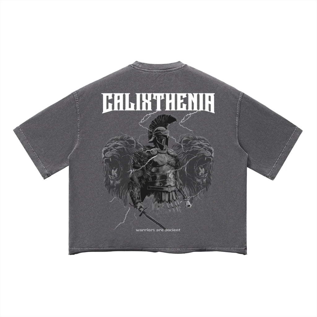 THE ORIGIN TEE — Calixthenia streetwear