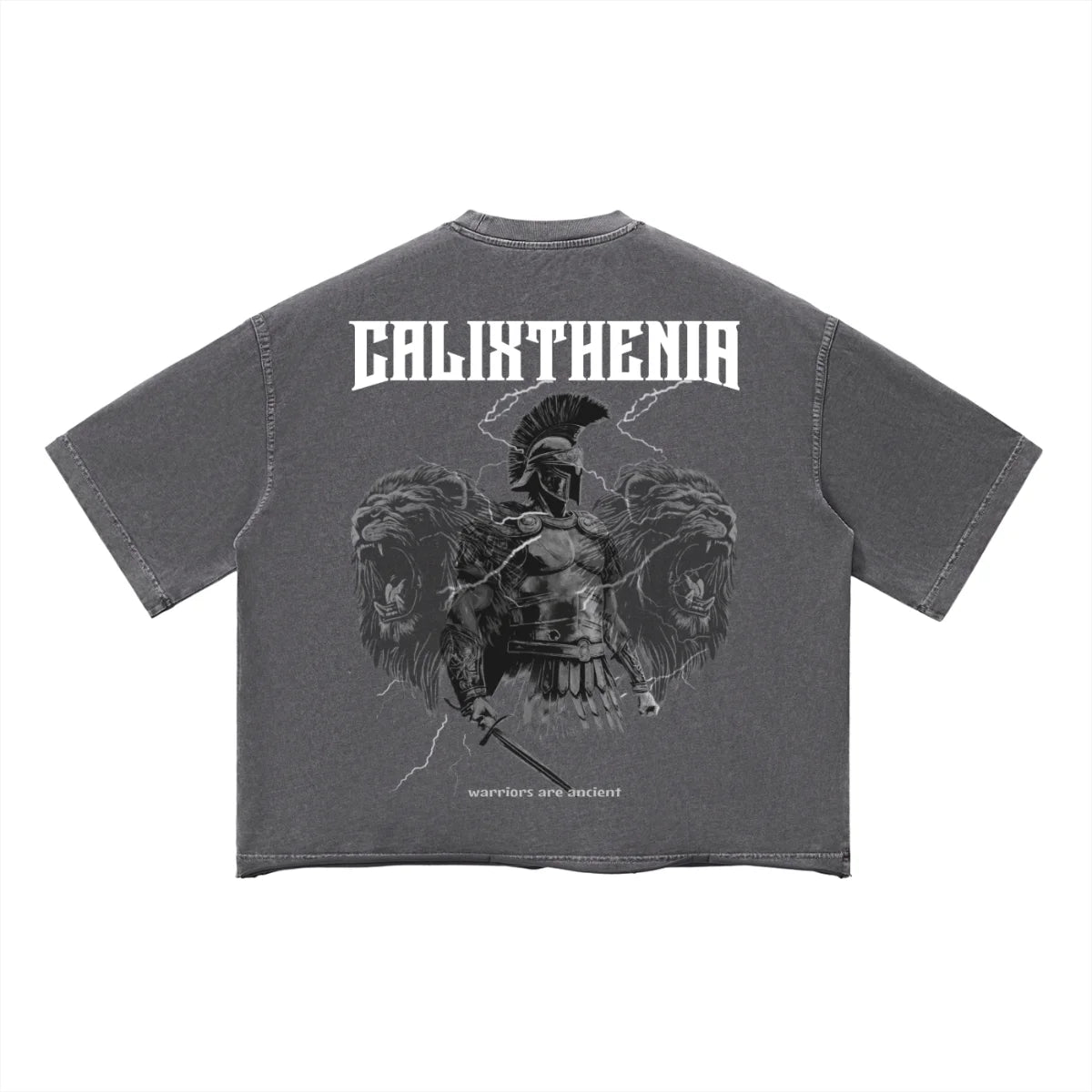 THE ORIGIN TEE — Calixthenia streetwear
