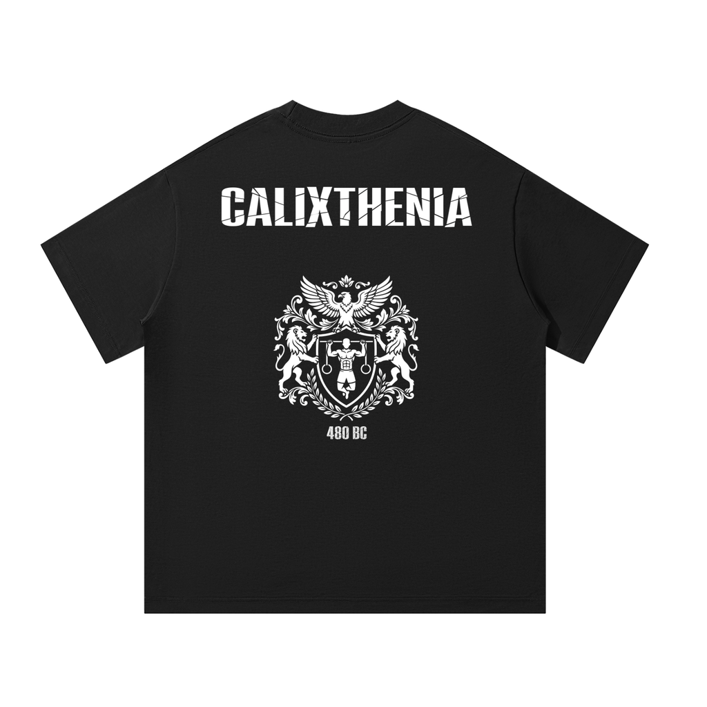 Heritage Tee – Oversized black calisthenics t-shirt with Calixthenia heritage graphic