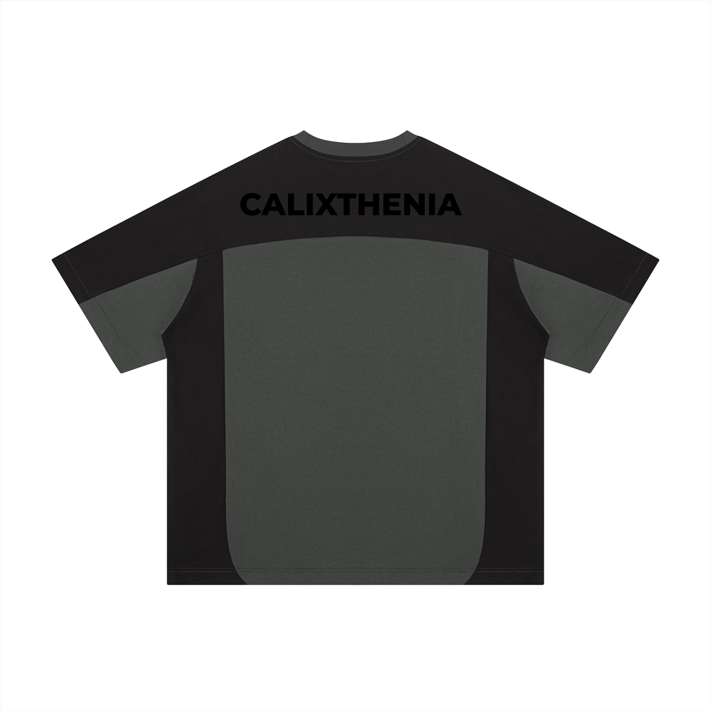 THE ARENA TEE
